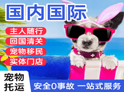 长春空运公司国际宠物托运 【国